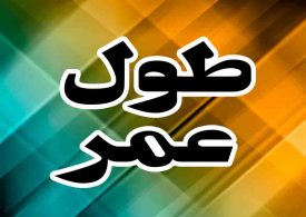 1 copy