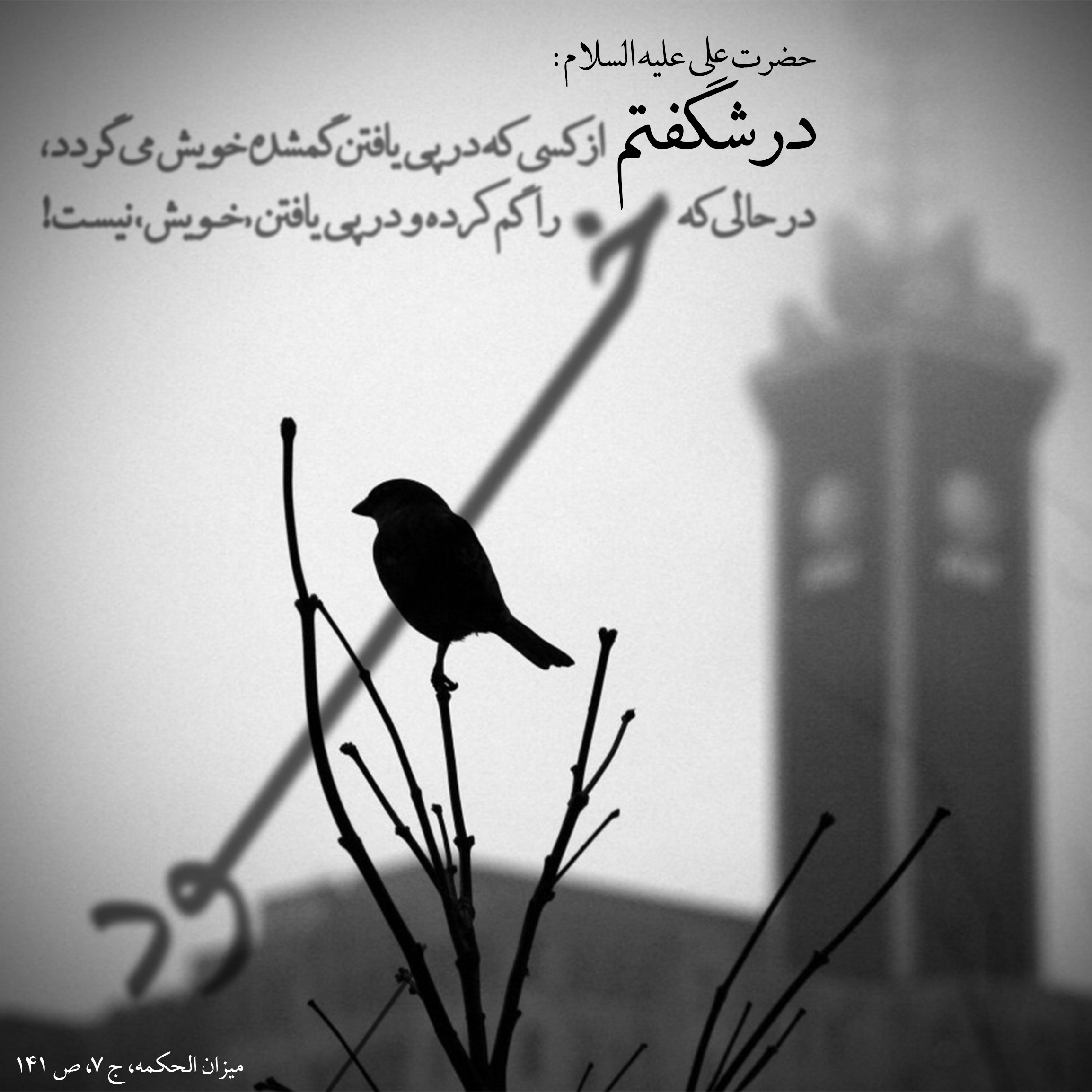 در شگفتم!