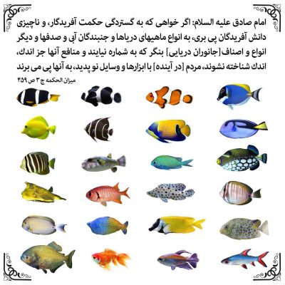 انواع ماهی ها…